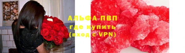 СК Покачи
