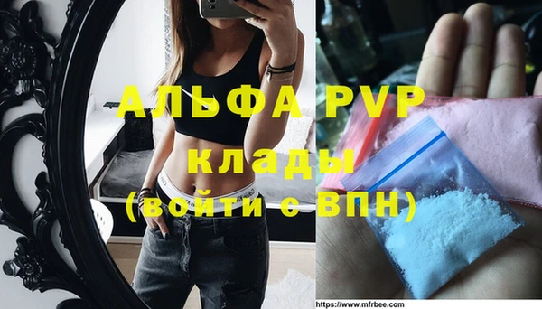СК Покачи
