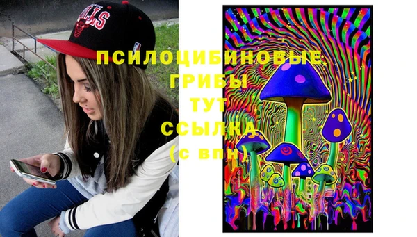 СК Покачи