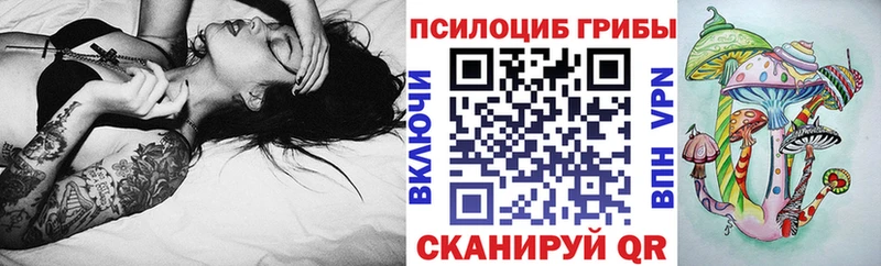 наркотики  Сальск  Псилоцибиновые грибы Psilocybine cubensis 