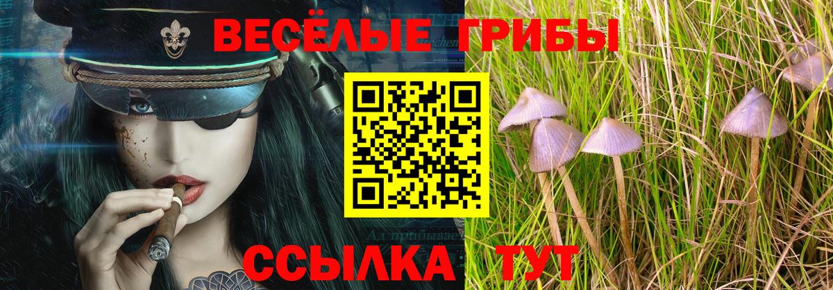 Галлюциногенные грибы Psilocybine cubensis  Вход с VPN  Галлюциногенные грибы GOLDEN TEACHER  наркота  Сальск 