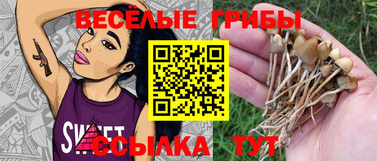 Галлюциногенные грибы мухоморы Сальск